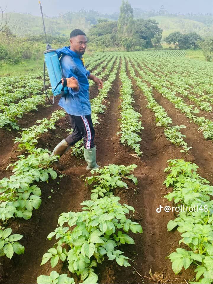 Sustainable crop protection training